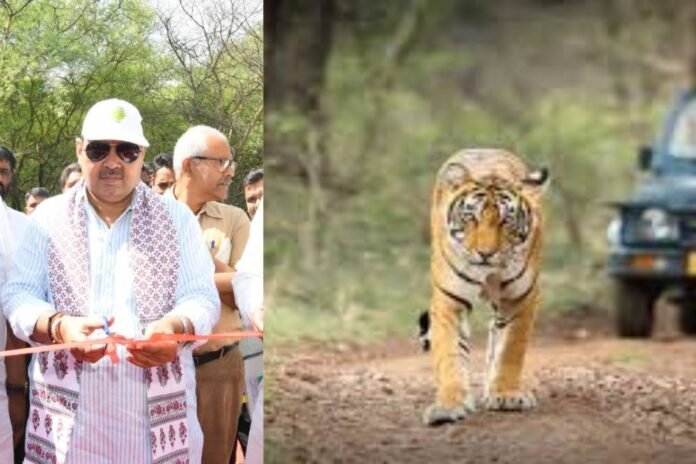 Jaipur becomes the first city in the country to have 4 safaris, new exciting journey begins in Nahargarh
