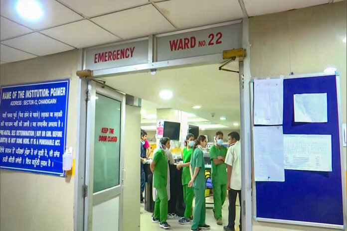'Serge Price' in treatment!
