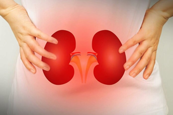 Kidney problems increase the risk of stroke
