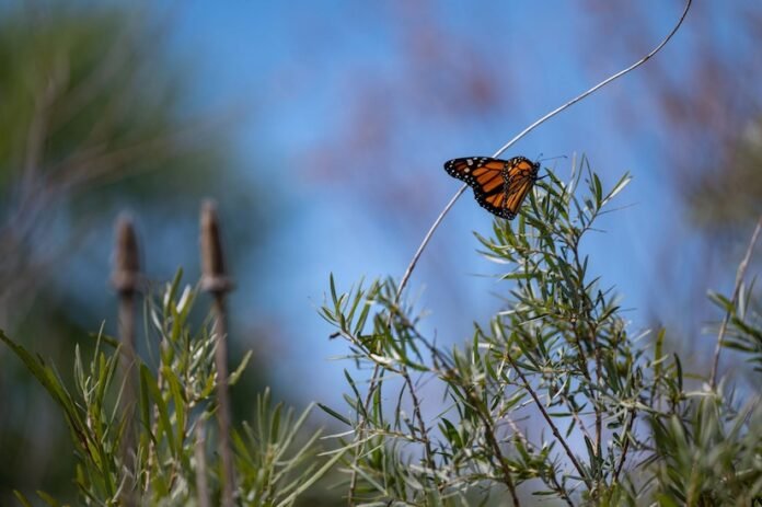 Conservation strategies help maintain preparedness while conserving threatened species

