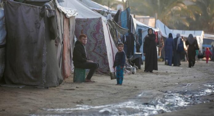 Gaza: The lives of more than 20,000 women and girls have led to the fearful war

