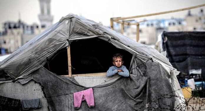 Gaza: People's backbone breaks hunger, barely once a day

