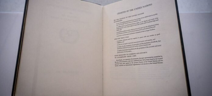 UN Charter 80 years: From the ash of war, sprout of hope of a good future

