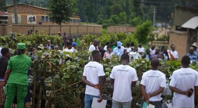 May change the global future because of the participation of youth in agriculture

